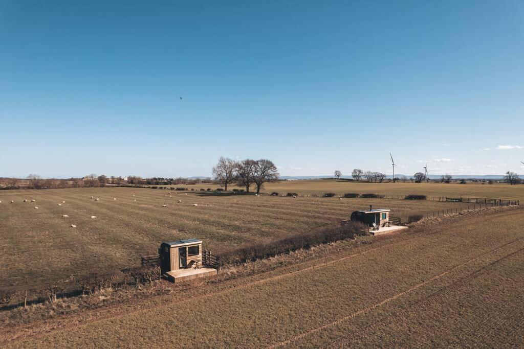 'Pipistrelle' Remote Off-Grid Micro Cabin Villa Sedgefield Exterior foto